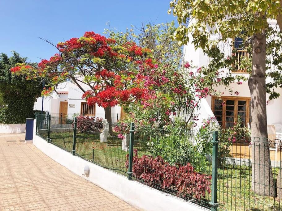 Apartamento Lucia Garden City Con Piscina Climatizada Playa Fanabe Exterior photo