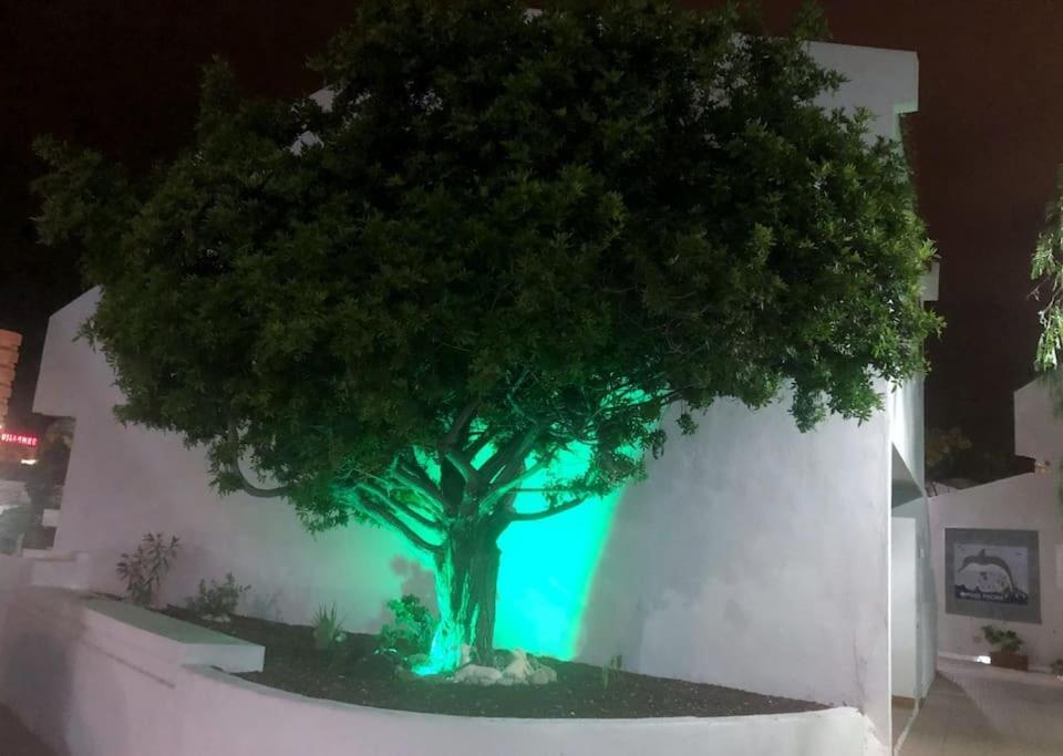 Apartamento Lucia Garden City Con Piscina Climatizada Playa Fanabe Exterior photo